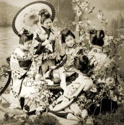 Unter den Kirschblüten, um 1900